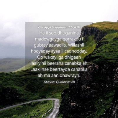 Picture 04 - Gabaygii Sulaymaan 1:6 SOM - Ha ii soo dhuganina madowgayga qorraxdu i gubtay - Bible Verse Picture