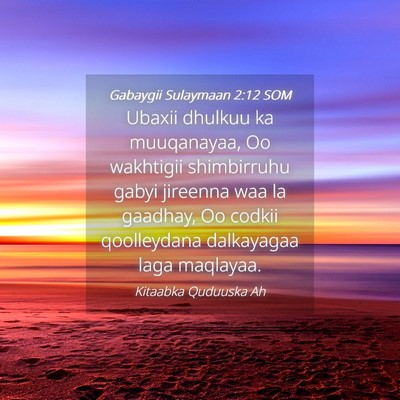 Picture 04 - Gabaygii Sulaymaan 2:12 SOM - Ubaxii dhulkuu ka muuqanayaa, Oo wakhtigii - Bible Verse Picture