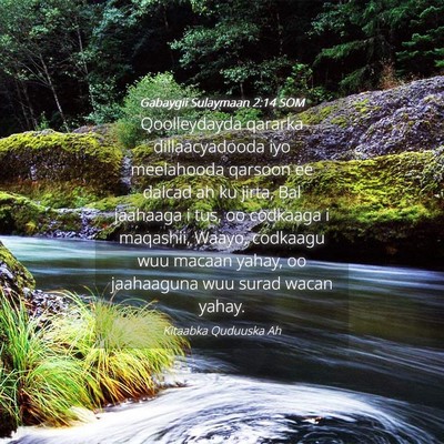 Picture 04 - Gabaygii Sulaymaan 2:14 SOM - Qoolleydayda qararka dillaacyadooda iyo - Bible Verse Picture