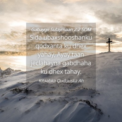 Picture 04 - Gabaygii Sulaymaan 2:2 SOM - Sida ubaxshooshanku qodxanta ku dhex yahay, Ayay - Bible Verse Picture