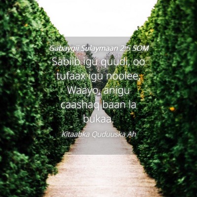 Picture 04 - Gabaygii Sulaymaan 2:5 SOM - Sabiib igu quudi, oo tufaax igu noolee, Waayo, - Bible Verse Picture