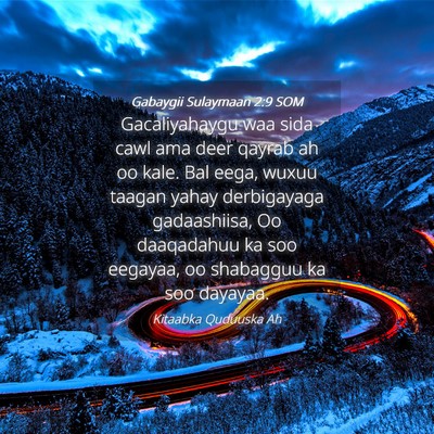Picture 04 - Gabaygii Sulaymaan 2:9 SOM - Gacaliyahaygu waa sida cawl ama deer qayrab ah oo - Bible Verse Picture