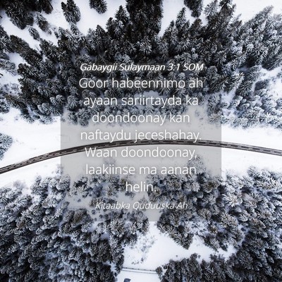 Picture 04 - Gabaygii Sulaymaan 3:1 SOM - Goor habeennimo ah ayaan sariirtayda ka - Bible Verse Picture