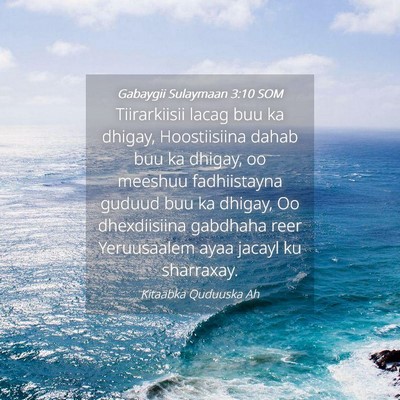 Picture 04 - Gabaygii Sulaymaan 3:10 SOM - Tiirarkiisii lacag buu ka dhigay, Hoostiisiina - Bible Verse Picture