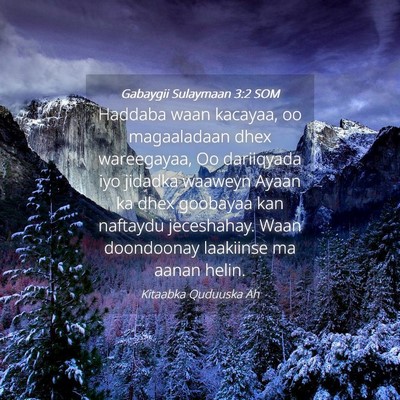 Picture 04 - Gabaygii Sulaymaan 3:2 SOM - Haddaba waan kacayaa, oo magaaladaan dhex - Bible Verse Picture