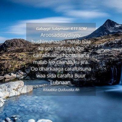 Picture 04 - Gabaygii Sulaymaan 4:11 SOM - Aroosaddaydiiyey, bushimahaaga malab baa ka soo - Bible Verse Picture