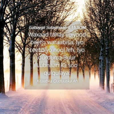 Picture 04 - Gabaygii Sulaymaan 4:15 SOM - Waxaad tahay ilbiyood beero waraabisa, Iyo ceel - Bible Verse Picture