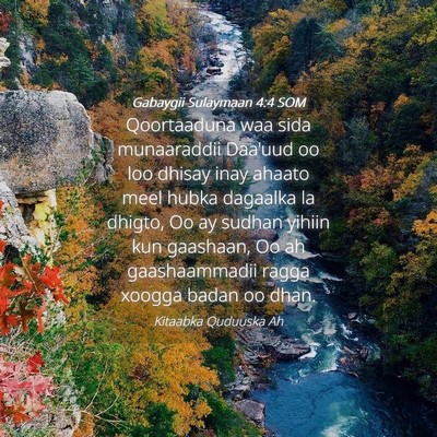 Picture 04 - Gabaygii Sulaymaan 4:4 SOM - Qoortaaduna waa sida munaaraddii Daa'uud oo loo - Bible Verse Picture