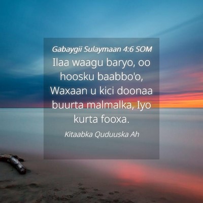 Picture 04 - Gabaygii Sulaymaan 4:6 SOM - Ilaa waagu baryo, oo hoosku baabbo'o, Waxaan u - Bible Verse Picture