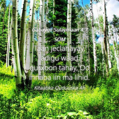 Picture 04 - Gabaygii Sulaymaan 4:7 SOM - Taan jeclahayay, adigu waad qurxoon tahay, Oo - Bible Verse Picture