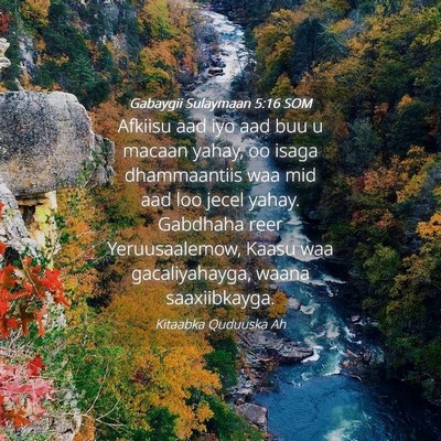 Picture 04 - Gabaygii Sulaymaan 5:16 SOM - Afkiisu aad iyo aad buu u macaan yahay, oo isaga - Bible Verse Picture