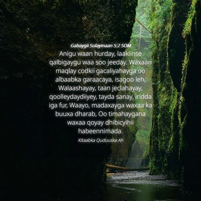 Picture 04 - Gabaygii Sulaymaan 5:2 SOM - Anigu waan hurday, laakiinse qalbigaygu waa soo - Bible Verse Picture