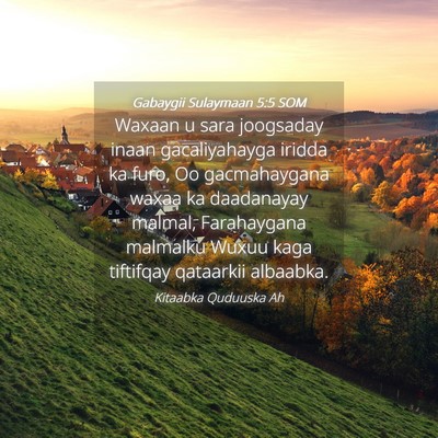 Picture 04 - Gabaygii Sulaymaan 5:5 SOM - Waxaan u sara joogsaday inaan gacaliyahayga - Bible Verse Picture