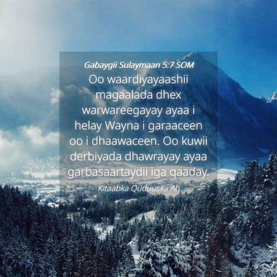 Picture 04 - Gabaygii Sulaymaan 5:7 SOM - Oo waardiyayaashii magaalada dhex warwareegayay - Bible Verse Picture