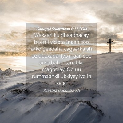 Picture 04 - Gabaygii Sulaymaan 6:11 SOM - Waxaan ku dhaadhacay beertii yicibta Inaan soo - Bible Verse Picture
