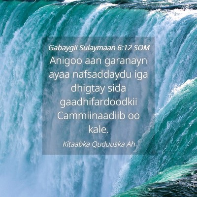 Picture 04 - Gabaygii Sulaymaan 6:12 SOM - Anigoo aan garanayn ayaa nafsaddaydu iga dhigtay - Bible Verse Picture