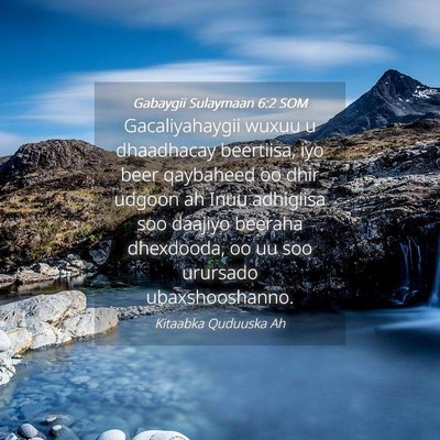 Picture 04 - Gabaygii Sulaymaan 6:2 SOM - Gacaliyahaygii wuxuu u dhaadhacay beertiisa, iyo - Bible Verse Picture