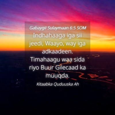 Picture 04 - Gabaygii Sulaymaan 6:5 SOM - Indhahaaga iga sii jeedi, Waayo, way iga - Bible Verse Picture