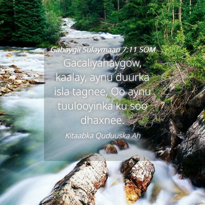 Picture 04 - Gabaygii Sulaymaan 7:11 SOM - Gacaliyahaygow, kaalay, aynu duurka isla tagnee, - Bible Verse Picture