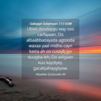 Picture 04 - Gabaygii Sulaymaan 7:13 SOM - Ubixii duudaygu way soo carfayaan, Oo - Bible Verse Picture