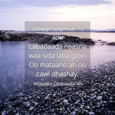 Picture 04 - Gabaygii Sulaymaan 7:3 SOM - Labadaada naasna waa sida laba gibin Oo mataano - Bible Verse Picture
