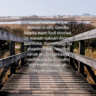 Picture 04 - Gabaygii Sulaymaan 7:8 SOM - Waxaan is-idhi, Geedka baarka waan fuuli doonaa, - Bible Verse Picture