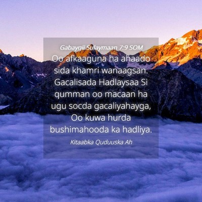 Picture 04 - Gabaygii Sulaymaan 7:9 SOM - Oo afkaaguna ha ahaado sida khamri wanaagsan. - Bible Verse Picture