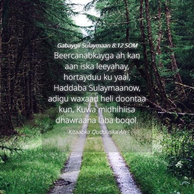 Picture 04 - Gabaygii Sulaymaan 8:12 SOM - Beercanabkayga ah kan aan iska leeyahay, - Bible Verse Picture