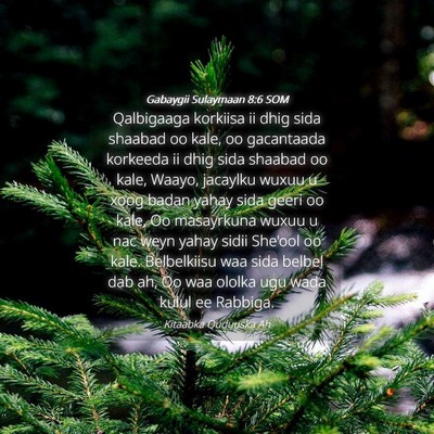 Picture 04 - Gabaygii Sulaymaan 8:6 SOM - Qalbigaaga korkiisa ii dhig sida shaabad oo kale, - Bible Verse Picture