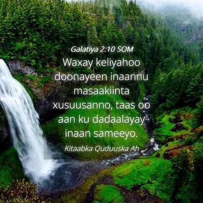 Picture 04 - Galatiya 2:10 SOM - Waxay keliyahoo doonayeen inaannu masaakiinta - Bible Verse Picture
