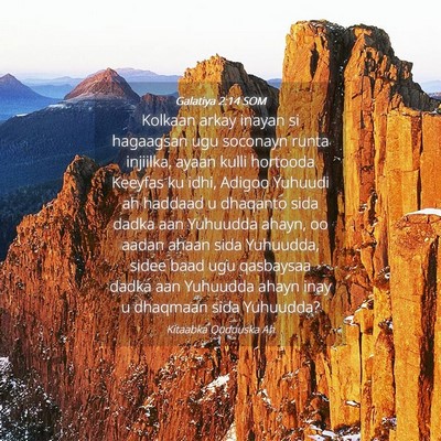 Picture 04 - Galatiya 2:14 SOM - Kolkaan arkay inayan si hagaagsan ugu soconayn - Bible Verse Picture