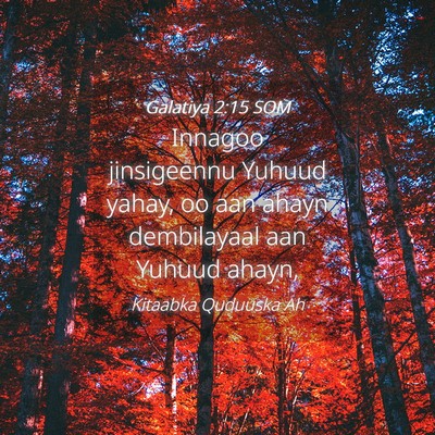 Picture 04 - Galatiya 2:15 SOM - Innagoo jinsigeennu Yuhuud yahay, oo aan ahayn - Bible Verse Picture