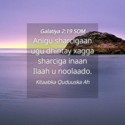 Picture 04 - Galatiya 2:19 SOM - Anigu sharcigaan ugu dhintay xagga sharciga inaan - Bible Verse Picture