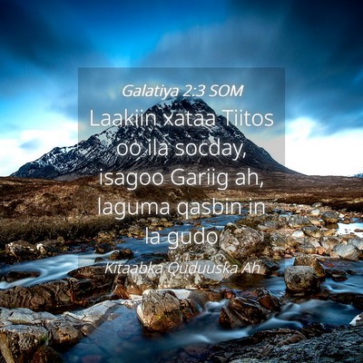 Picture 04 - Galatiya 2:3 SOM - Laakiin xataa Tiitos oo ila socday, isagoo Gariig - Bible Verse Picture