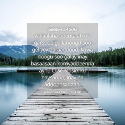 Picture 04 - Galatiya 2:4 SOM - walaalaha beenta ah oo qarsoodiga lanoogu soo - Bible Verse Picture