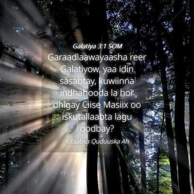 Picture 04 - Galatiya 3:1 SOM - Garaadlaawayaasha reer Galatiyow, yaa idin - Bible Verse Picture