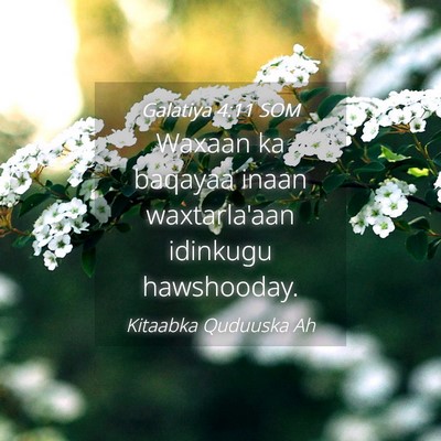 Picture 04 - Galatiya 4:11 SOM - Waxaan ka baqayaa inaan waxtarla'aan idinkugu - Bible Verse Picture