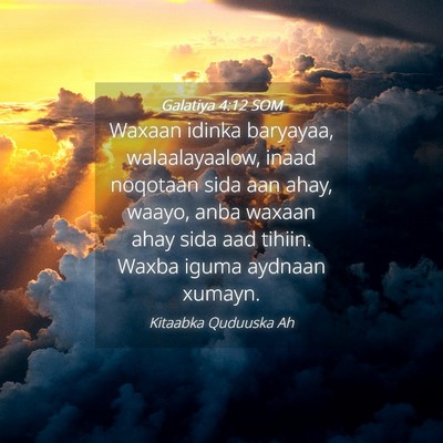 Picture 04 - Galatiya 4:12 SOM - Waxaan idinka baryayaa, walaalayaalow, inaad - Bible Verse Picture