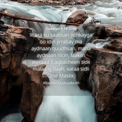 Picture 04 - Galatiya 4:14 SOM - Waxa ku saabsan jidhkayga oo idin jirrabay ma - Bible Verse Picture