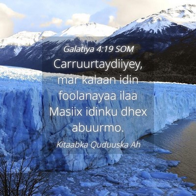 Picture 04 - Galatiya 4:19 SOM - Carruurtaydiiyey, mar kalaan idin foolanayaa ilaa - Bible Verse Picture