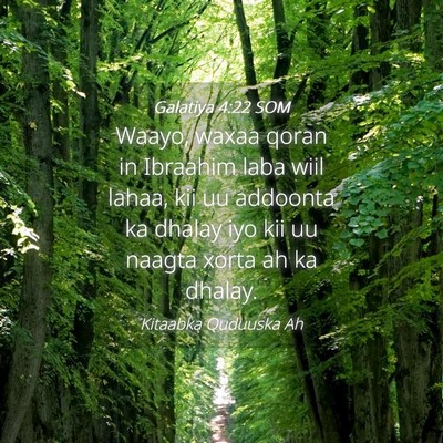 Picture 04 - Galatiya 4:22 SOM - Waayo, waxaa qoran in Ibraahim laba wiil lahaa, - Bible Verse Picture