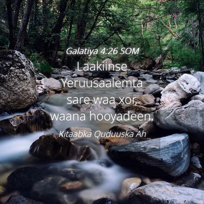 Picture 04 - Galatiya 4:26 SOM - Laakiinse Yeruusaalemta sare waa xor, waana - Bible Verse Picture
