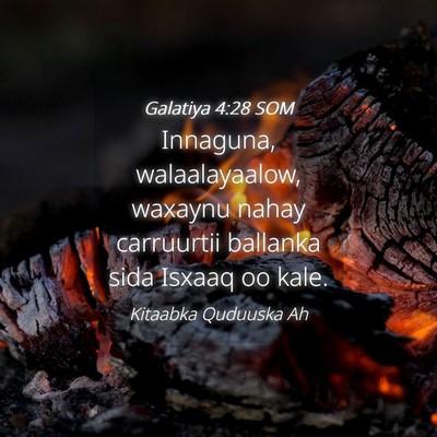 Picture 04 - Galatiya 4:28 SOM - Innaguna, walaalayaalow, waxaynu nahay carruurtii - Bible Verse Picture