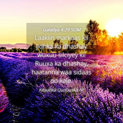 Picture 04 - Galatiya 4:29 SOM - Laakiin markaas kii jidhka ka dhashay wuxuu - Bible Verse Picture