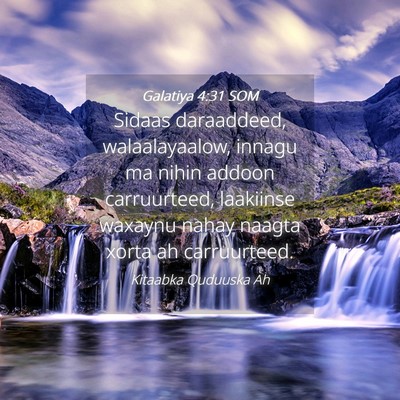 Picture 04 - Galatiya 4:31 SOM - Sidaas daraaddeed, walaalayaalow, innagu ma nihin - Bible Verse Picture