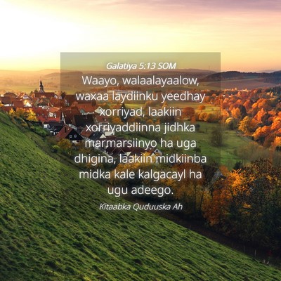Picture 04 - Galatiya 5:13 SOM - Waayo, walaalayaalow, waxaa laydiinku yeedhay - Bible Verse Picture