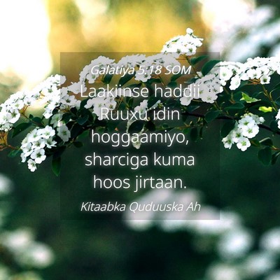 Picture 04 - Galatiya 5:18 SOM - Laakiinse haddii Ruuxu idin hoggaamiyo, sharciga - Bible Verse Picture