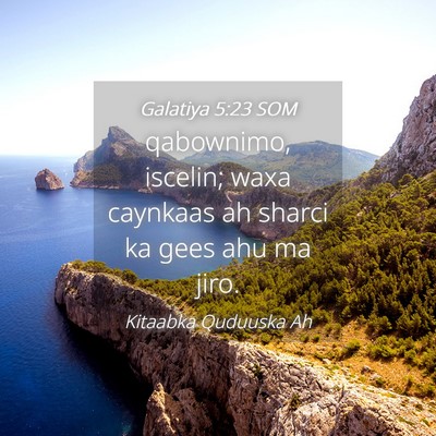 Picture 04 - Galatiya 5:23 SOM - qabownimo, iscelin; waxa caynkaas ah sharci ka - Bible Verse Picture