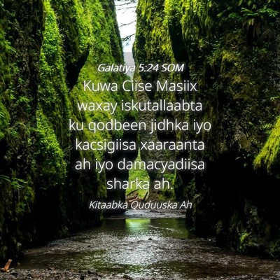 Picture 04 - Galatiya 5:24 SOM - Kuwa Ciise Masiix waxay iskutallaabta ku qodbeen - Bible Verse Picture