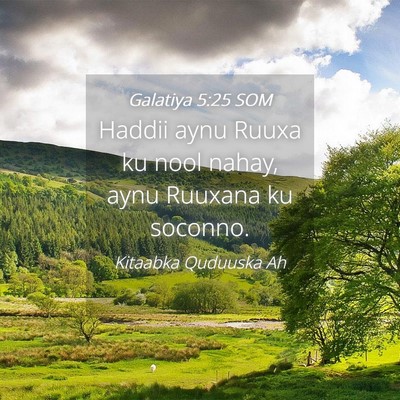 Picture 04 - Galatiya 5:25 SOM - Haddii aynu Ruuxa ku nool nahay, aynu Ruuxana ku - Bible Verse Picture